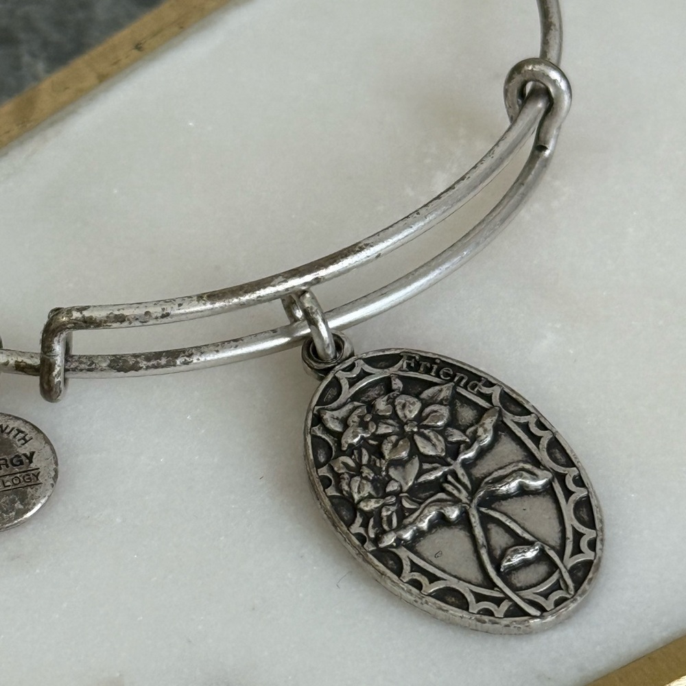 Alex and Ani 2016 “ Friend “ Friendship Silver-tone Adjustable Bangle Bracelet - Picture 2 of 7